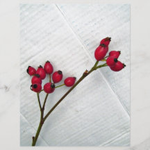 Red berries on a leafless branch full colour flyer