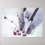 Red Berries on Snow posters