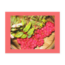 Red Berries Postcards