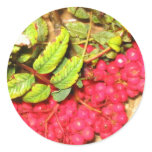 Red Berries stickers