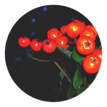 Red Berries Round Sticker