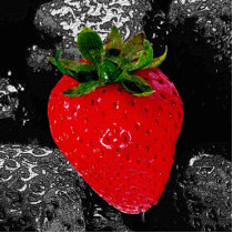 Red Berry Among The Dark