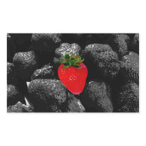 Red Berry Among The Dark