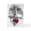Red Berry Christmas Birthday Card