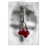 Red Berry Christmas Birthday Card