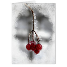 Red Berry Christmas Birthday Card