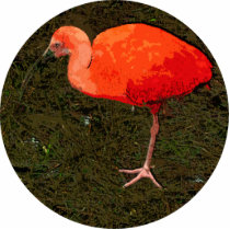 Red Bird Acrylic Cut Outs