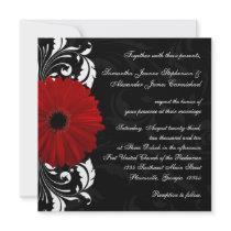 Red, Black and White Scroll Gerbera Daisy Square
