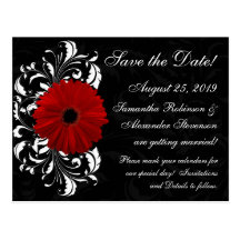 Red+Black+White Gerbera Daisy Save the Date Post Card