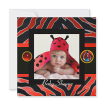 RED BLACK WHITE ZEBRA FUR ,LADYBUG  Photo Template