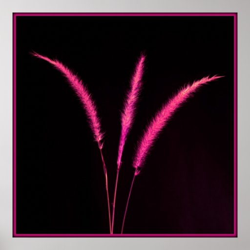 Red Blades Print