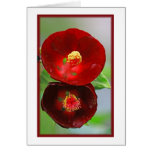 Red Bloom All Occasion Card