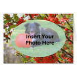 Red Blossoms Frame Add Photo Template Card