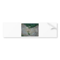 Red Bluff Bumper Stickers