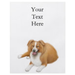 Red Border Collie Flyer