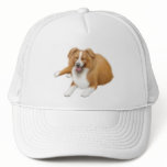 Red Border Collie Hat