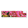 Red Bougainvillea flowers Bumper Stickers