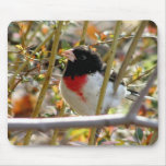 Red Breasted Grosbeak mousepads