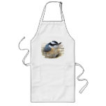Red-breasted Nuthatch aprons