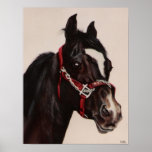 Red Bridle print