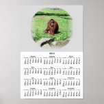 Red-Brown Haired Orangutan Calendar 2012 posters