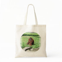 Red-Brown Haired Orangutan Sitting On Grass Bags
