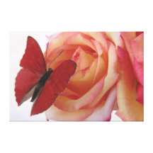 red butterfly on pink rose wrapped canvas stretched canvas prints