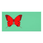 Red Butterfly photo cards