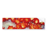 Red Cactus scarlet ball flowers Bumper Sticker