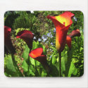 Red Cala Lilies Mousepad