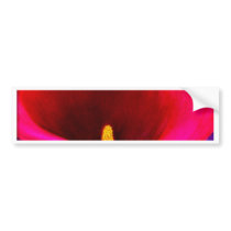 Red Cala Lily Flower Painting Art - Multi
