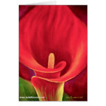 Red Cala Lily Tropical Flower Art - Multi Greeting Cards