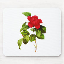 Red Camellia  by Pierre Joseph Redoute Mouse Pad