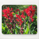RED CANNAS IN THE GREEN NORTHWOODS ~ MOUSEPAD