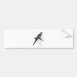 Red-Capped Parrakeet (Female) by Edward Lear Bumper Sticker