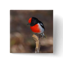 Red-capped Robin Pin
