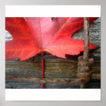 red captive print
