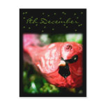 Red Cardinal • Advent Calendar Postcard