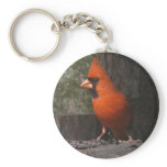 Red Cardinal Keychain