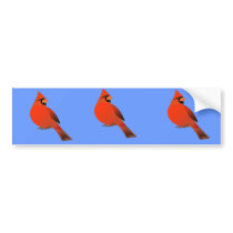 Red Cardinal Male Bird