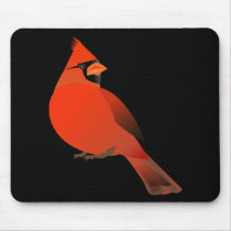 Red Cardinal Male Bird
