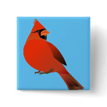 Red Cardinal Male Bird