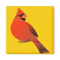 Red Cardinal Male Bird