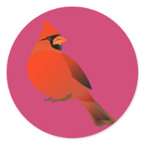 Red Cardinal Male Bird