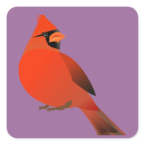 Red Cardinal Male Bird