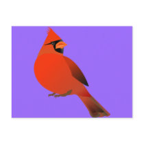 Red Cardinal Male Bird