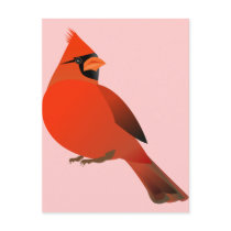 Red Cardinal Male Bird