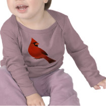 Red Cardinal Male Bird