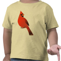 Red Cardinal Male Bird