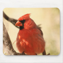Red Cardinal  Mouse Pad